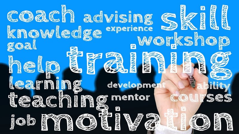 Writing Skills Development