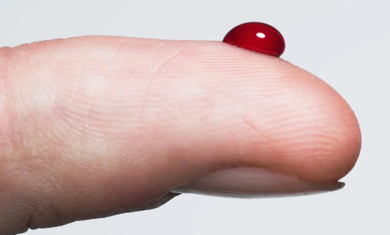 How Much Blood Is In The Human Body
