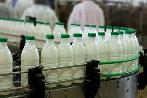 Foodgrade rubber products manufacturers