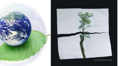 eco friendly paper sticks