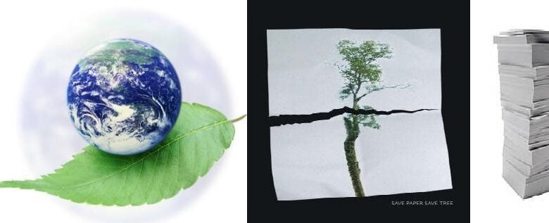 eco friendly paper sticks